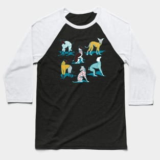 Greyhounds dogwalk // pattern // navy blue background Baseball T-Shirt